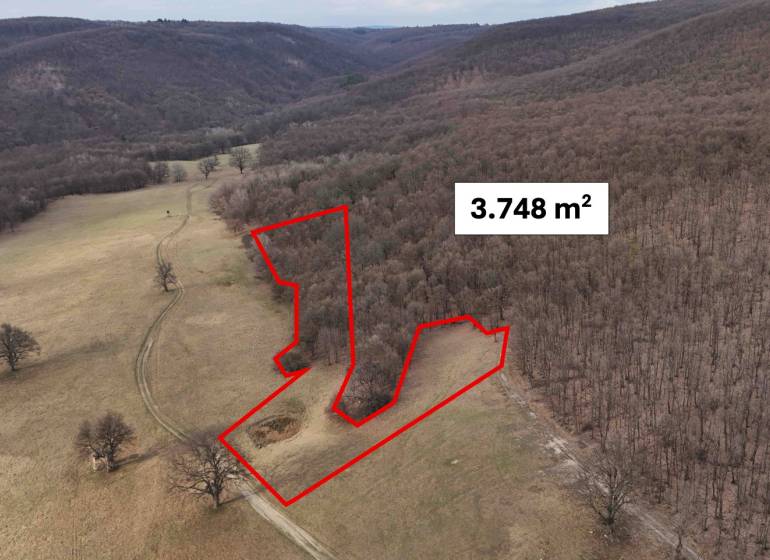 Zemědělské a lesní pozemky v okolí Príbeliec s vyznačenou plochou 3.748 m².