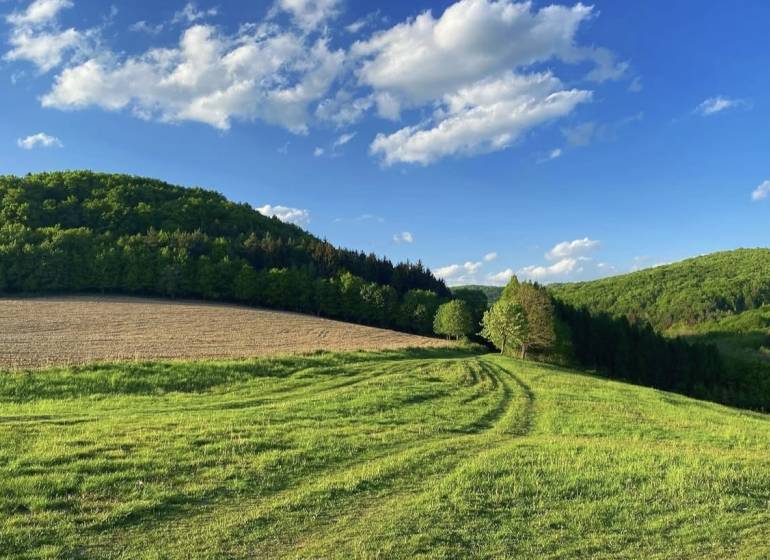 Krásné zelené zemědělské a lesní pozemky v Dolních Kočkovcích pod jasnou modrou oblohou.