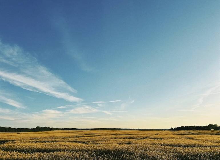 Zemědělské a lesní pozemky v Časté s rozsáhlou loukou pod modrou oblohou.