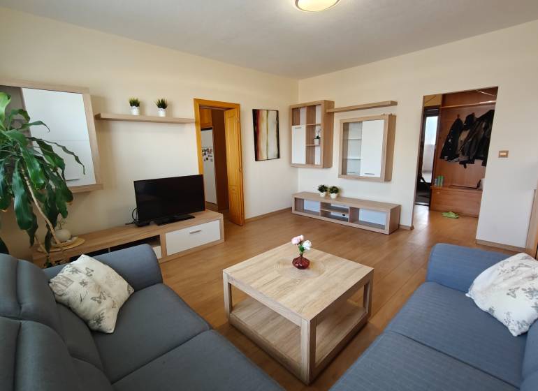 Světlý obývací pokoj s pohovkou a podlahou s dřevěným dekorem v 3-pokojovém bytě.