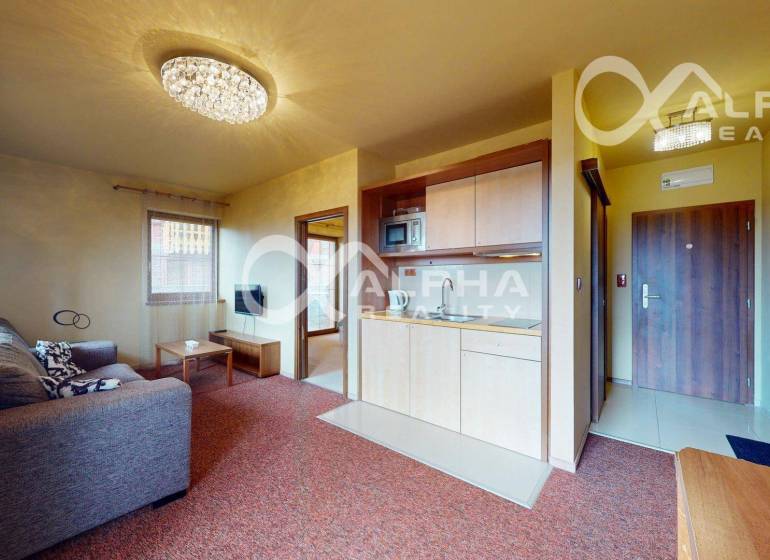 Obývací pokoj v dvoupokojovém bytě s pohovkou a kuchyňskou linkou.