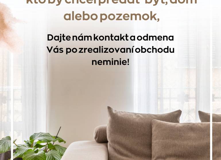 Světlý obývací pokoj s pohodlnou sedačkou a rostlinou, 2-pokojový byt s podlahou s dřevěným dekorem.