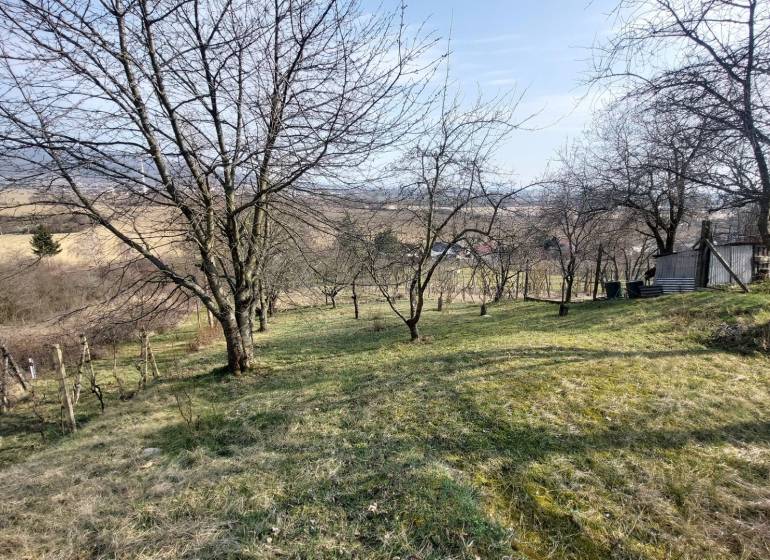 Vinice ve Zlatých Moravcích s výhledem, stromy a travnatý pozemek.