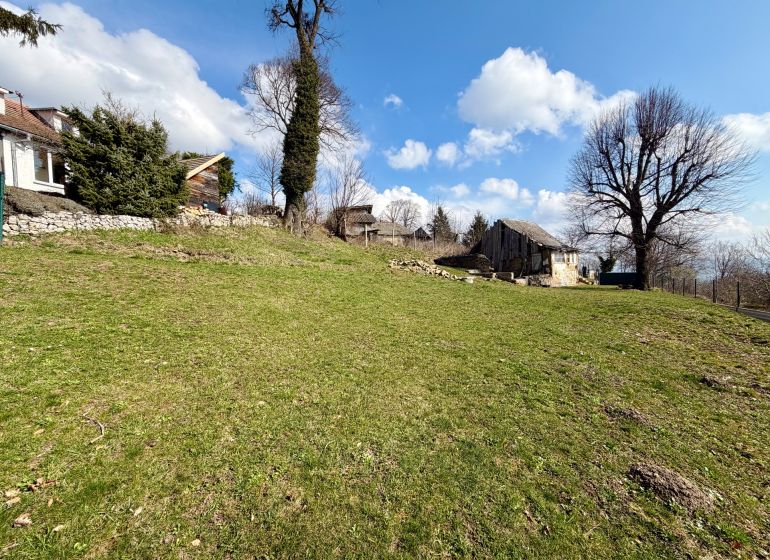 Pozemky - bydlení v obci Lubina na ulici Lubina, se stromy a travnatou plochou.