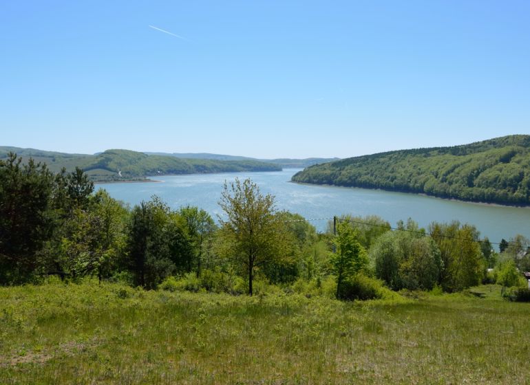 Výhled z rekreačních pozemků v Nové Kelči na jezero obklopené lesy.
