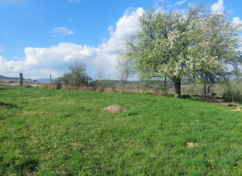 Zeleň a rozkvetlé stromy v Budiné na pozemcích určených pro bydlení.