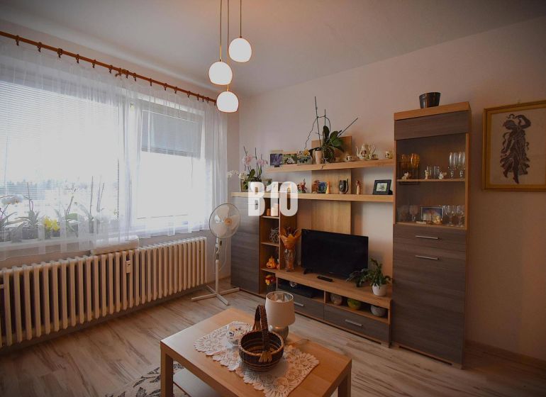 Obývací pokoj s nábytkem a dekoracemi v rekreačním apartmánu, podlaha s dřevěným dekorem.