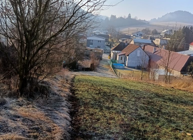 IMG_20260303_081051926_HDR.jpg