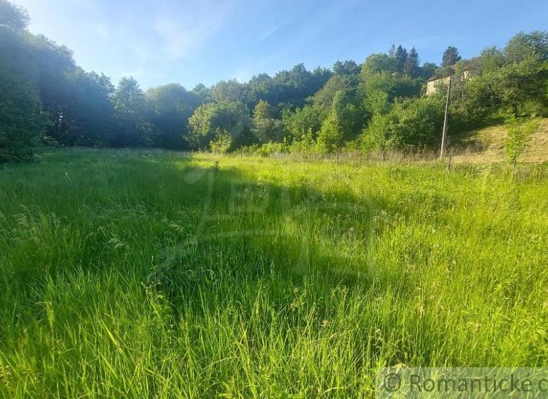 Zelená louka obklopená lesem v Podkylavě, ideální na Pozemky - bydlení.