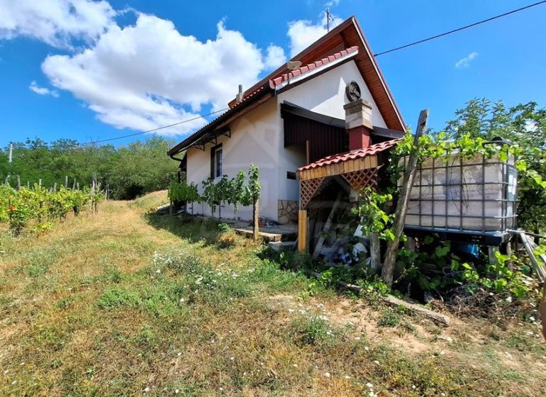 Chata v Gbelcích obklopená zelení a vinicí pod modrou oblohou.