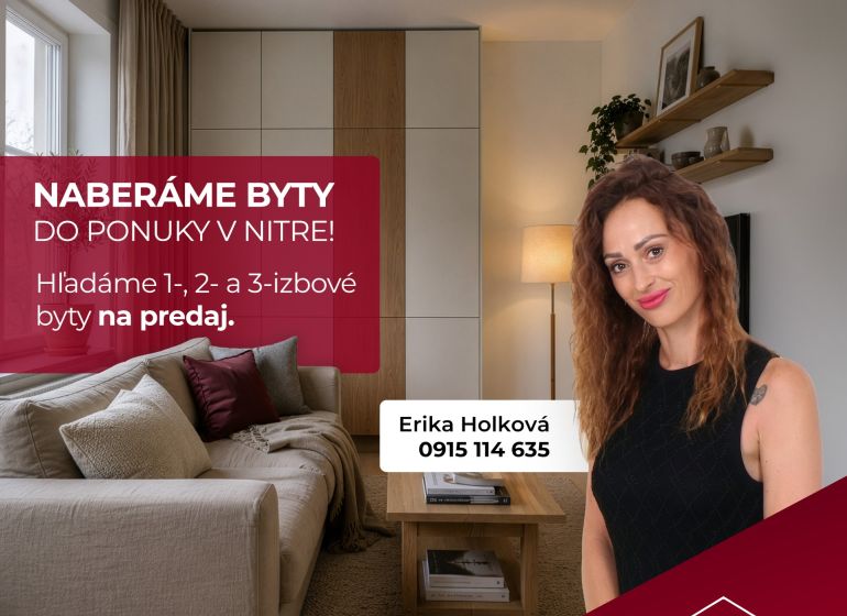 Interiér 1-pokojového bytu s pohovkou, dřevěným dekorem a dekoracemi.