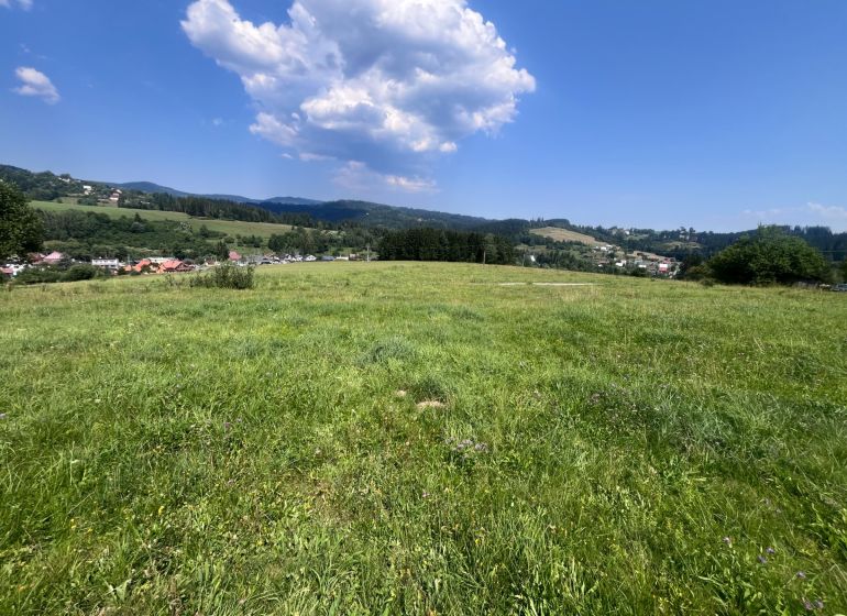 Zelené louky v Olešné vhodné pro pozemky - bydlení, obklopené přírodou a kopci.