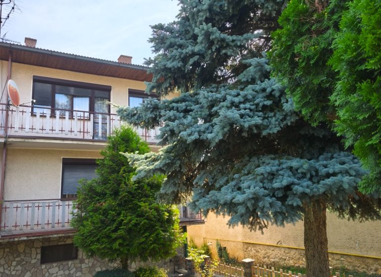 Rodinný dům v Jelenci s balkonem obklopený zelení a jehličnatými stromy.