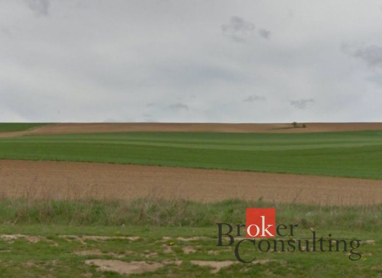 Rozlehlé zelené pole v Lužiankách, vhodné pro pozemky - bydlení.