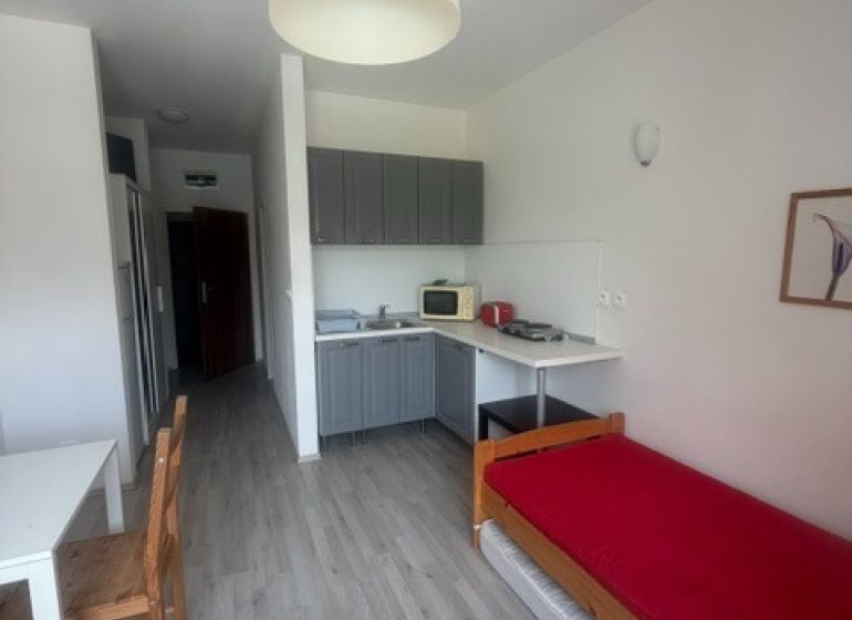 Garsonka s podlahou s dřevěným dekorem a kuchyňským koutem, obsahuje jídelní a spací prostor.