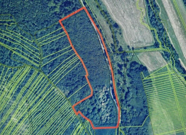 Zemědělské a lesní pozemky v Dolních Strhárech, vymezené červenou čarou na mapě.