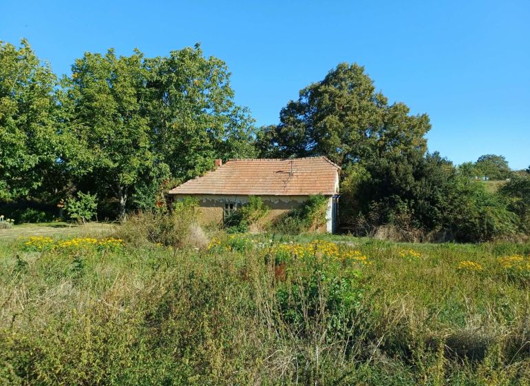 Dům obklopený vegetací na Hlavní ulici v Cerovinách, Pozemky - bydlení.