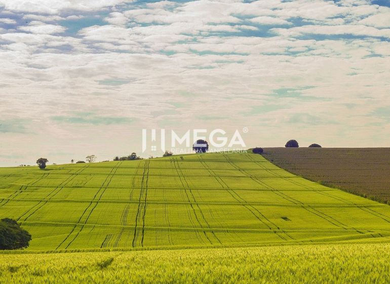 Rozsáhlé zelené pole na komerčních pozemcích v Košicích, lokalita Košice IV.