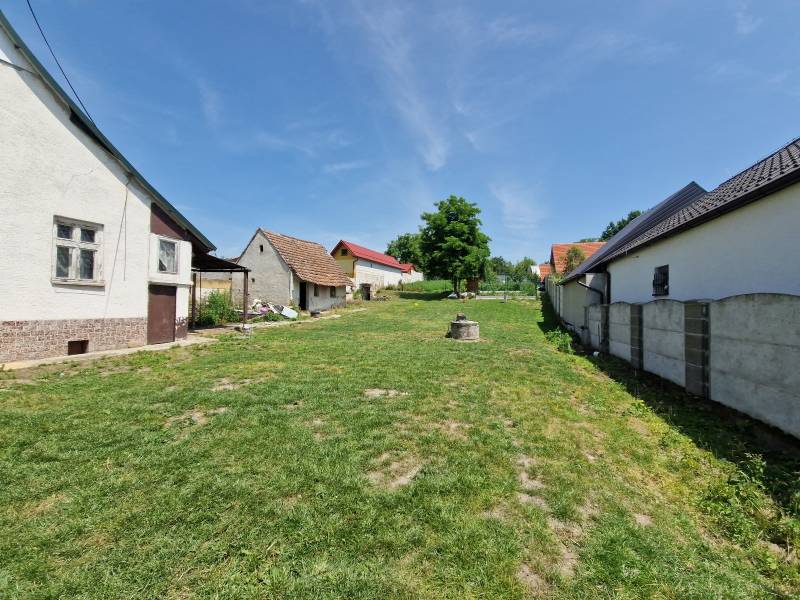 Zahrada u rodinného domu v Štefanově, s trávníkem a stromem uprostřed.