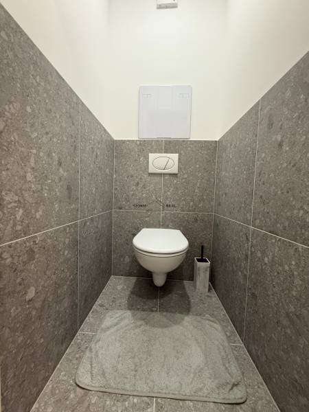 Toaleta s kamenným obkladem v 1-pokojovém bytě, měkká rohož před WC.