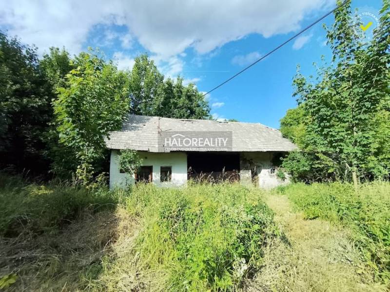Chata ve Staré Huti obklopená zelení pod modrou oblohou.