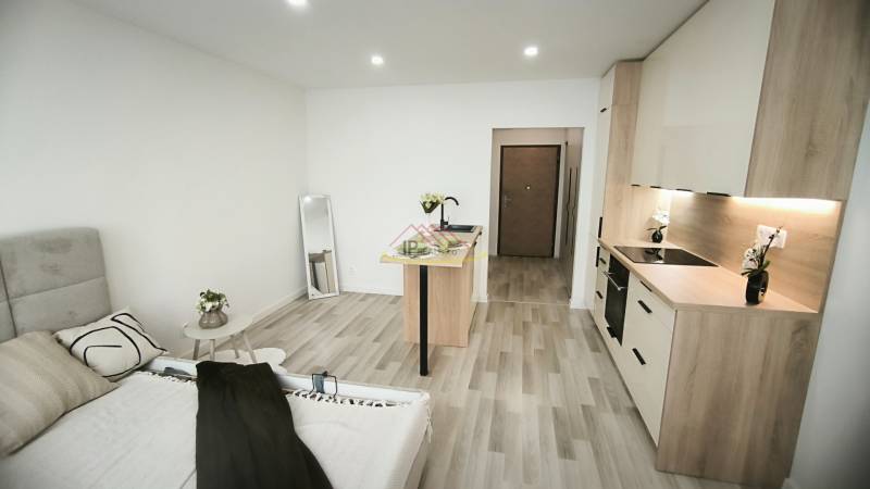 Garsonka s kuchyňským koutem, pohovkou a zrcadlem; jednoduchý interiér na dřevěné podlaze.