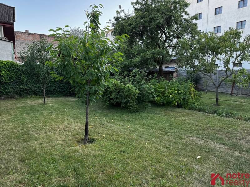 Zahrada s ovocnými stromy u rodinného domu v Lučenci.