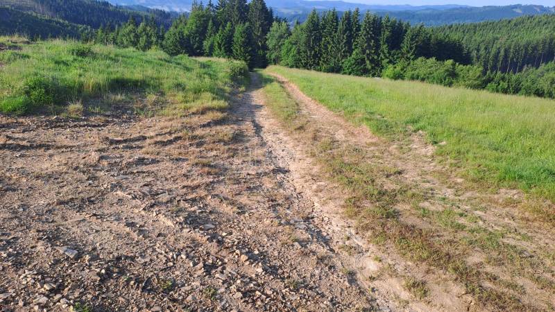 Kamenitá cesta vedoucí loukou v Olešné, Pozemky - bydlení s výhledem na lesy.
