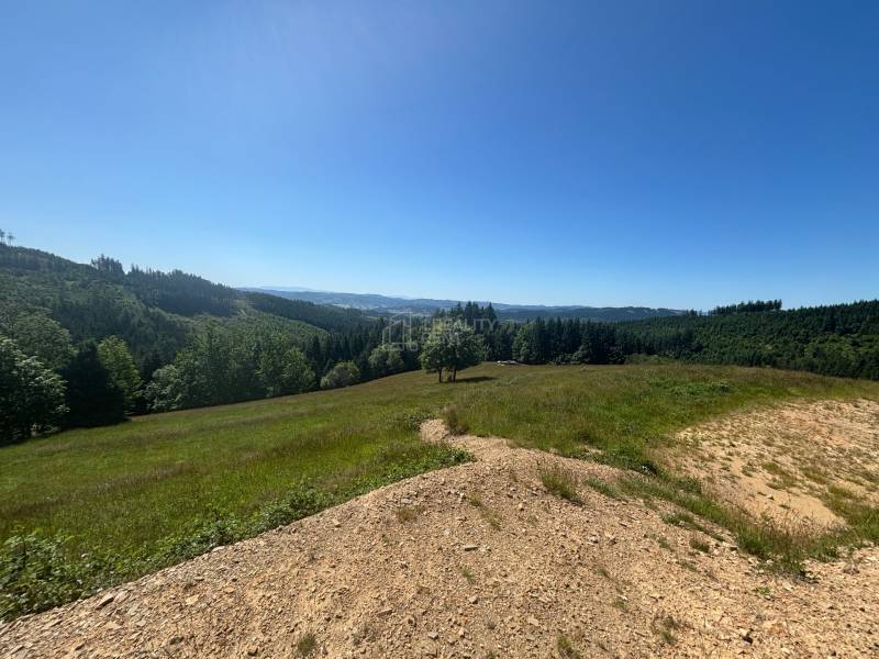 Kopcovitá krajina v Olešné s lesy, tráva a modrá obloha, vhodné pro pozemky - bydlení.