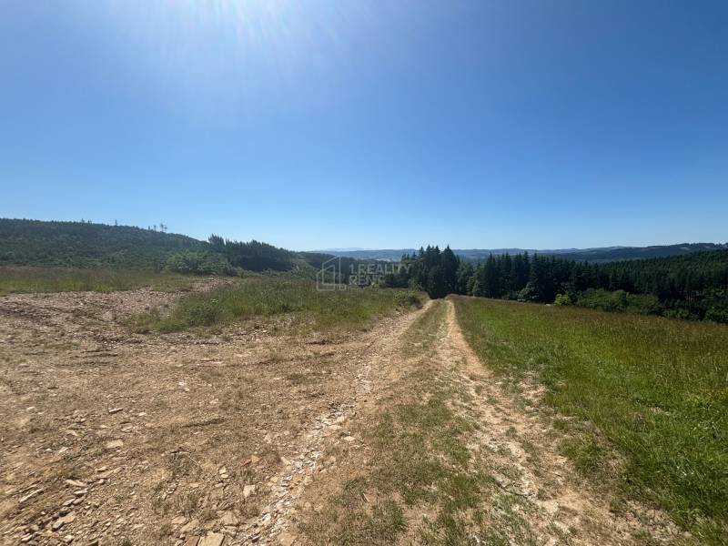 Krajina v Olešné zobrazuje pozemky k bydlení s lesy a loukami pod modrou oblohou.