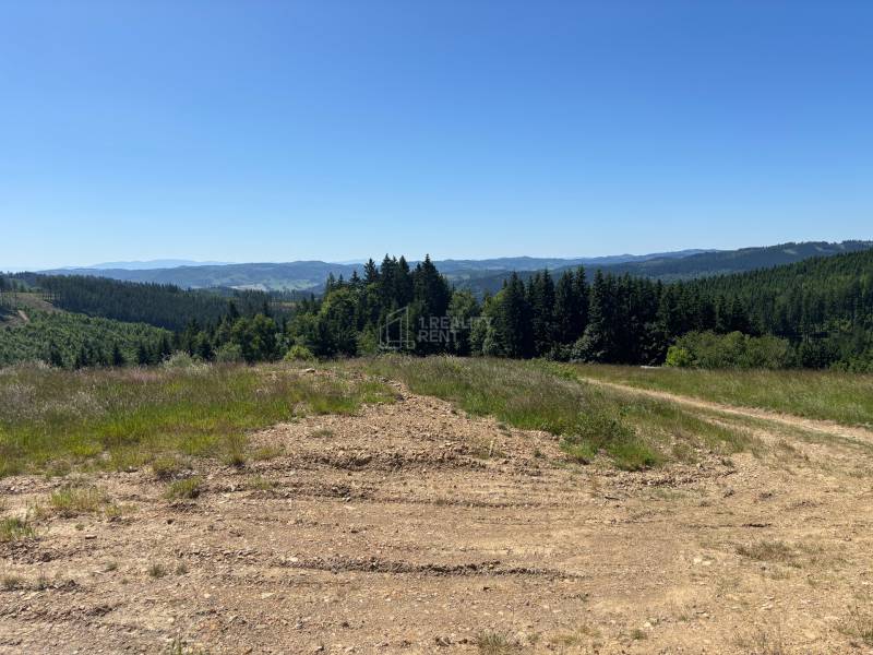 Rozlehlé pozemky na bydlení v Olešné s panoramatickým výhledem na lesy a kopce.