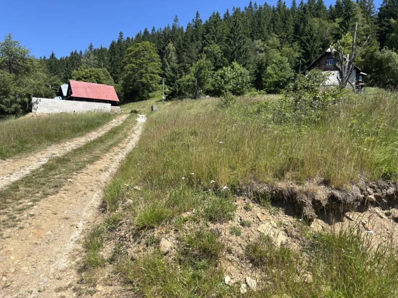 Venkovská krajina v Olešné s cestou, loukou a lesem – Pozemky na bydlení.