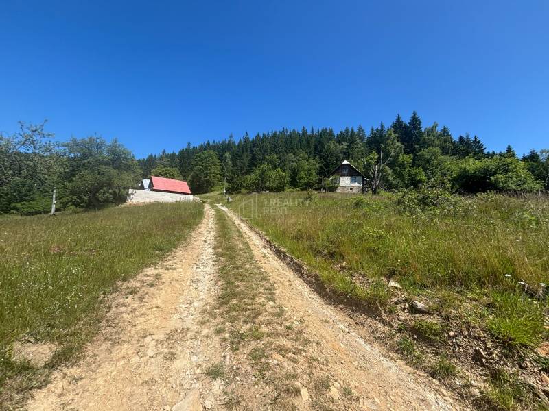 Cesta vedoucí k domům v přírodě obklopeným lesem v Olešné, Pozemky - bydlení.