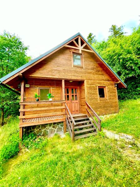 Dřevěný rodinný dům ve Štefultově, obklopený zelení, jednoduchý venkovský design.