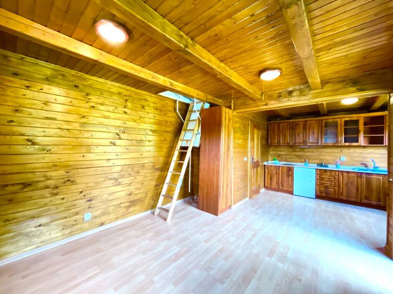 Interiér rodinného domu s dřevěným obkladem, kuchyňskou linkou a žebříkem na patro.