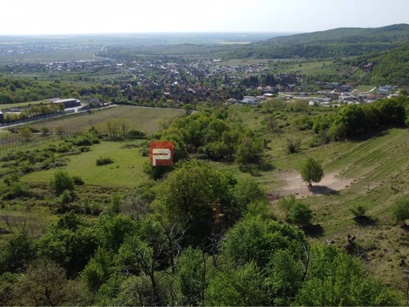 Limbach: Pohled na pozemky - bydlení s výhledem na okolní krajinu a vinice.