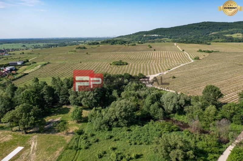 Rozlehlé vinice, zelená pole, stromy u Limbašské cesty, ideální pro 2pokojový byt.
