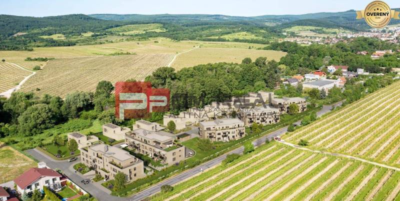 Vizualizace nového rezidenčního komplexu na ulici Limbašská cesta v blízkosti vinic a přírody.