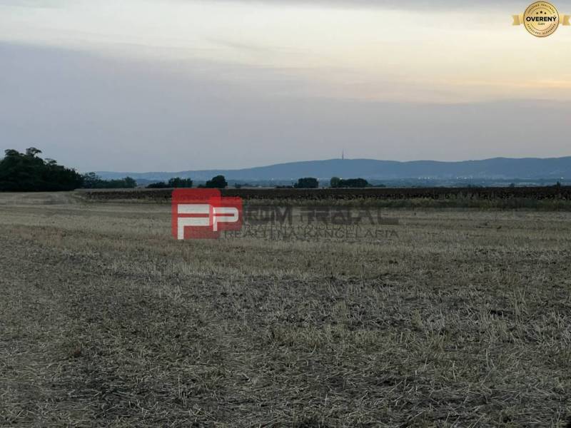 Pohled na zemědělské a lesní pozemky na ulici Senecká při západu slunce.