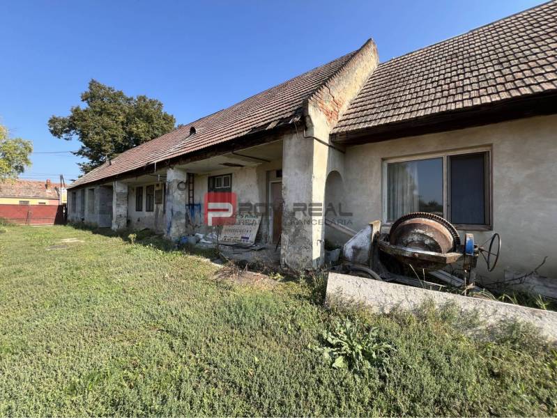 Starší dům s poškozenou fasádou a dvorkem, Viničné, Hlavní, pozemky - bydlení.