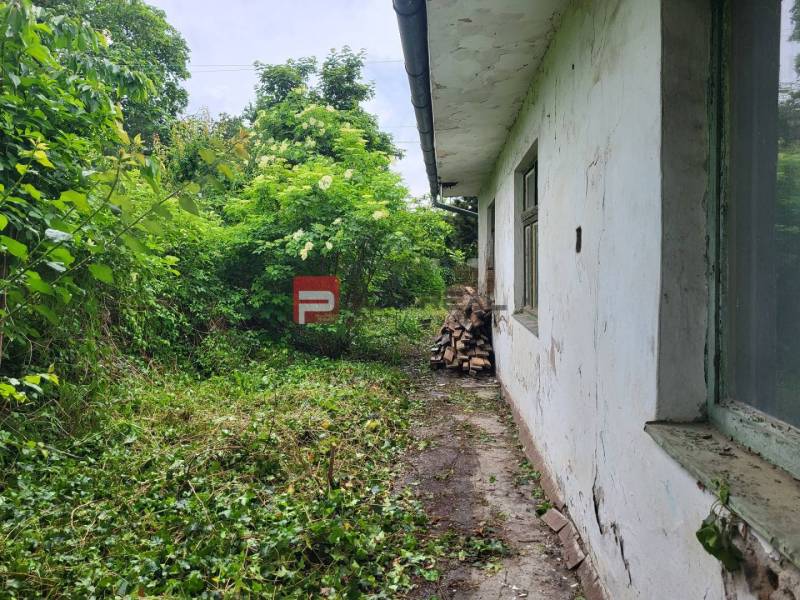 Pozemek na Holubyho ulici v Pezinku, zarostlý zelení, s vedlejší budovou.