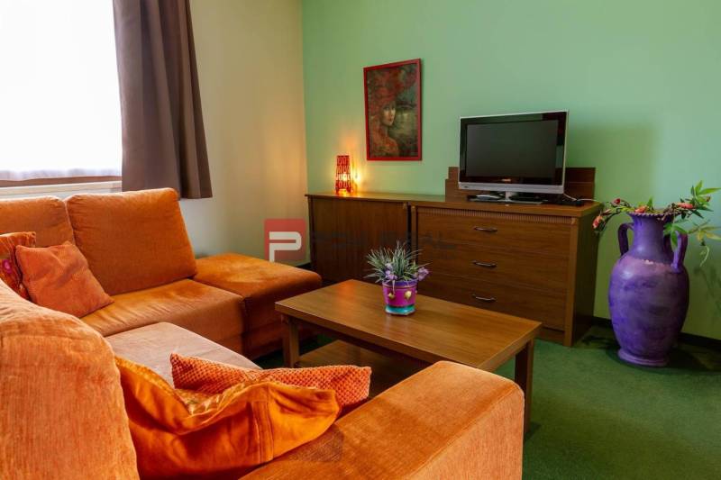 Obývací pokoj v hotelu a penzionech, s pohovkou, televizí, obrazem a dekoracemi.