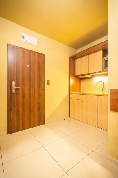 Vstupní část Rekreačního apartmánu s dřevěnými dveřmi a kuchyňskou linkou.
