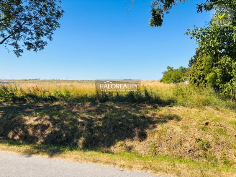Travnatá plocha obklopená stromy ve městě Horná Krupá, pozemky - bydlení.