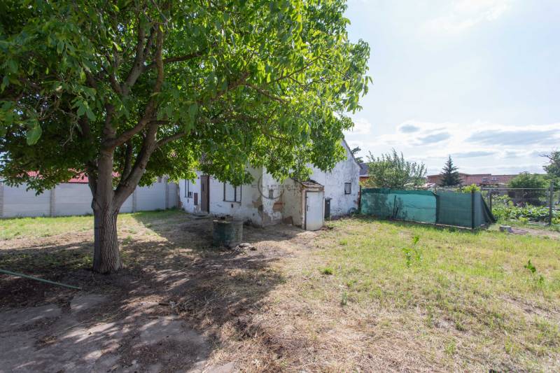 Zahrada s trávníkem a stromem v Gajaroch na Športovej, pozemky - bydlení.