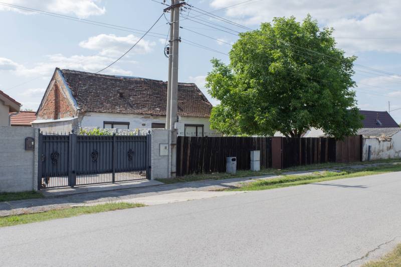 Rodinný dům na ulici Športová v Gajaroch, Pozemky - bydlení s bránou a stromem.
