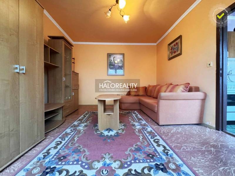 Obývací pokoj s oranžovými stěnami, pohovkou a kobercem v jednopokojovém bytě.