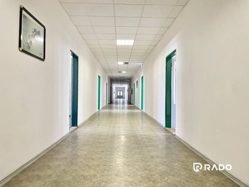 Dlouhá chodba s bílými stěnami a zelenými dveřmi v kancelářích.