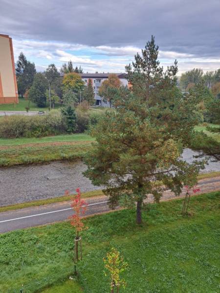 Výhled z 2pokojového bytu na ulici Jilemnického ve městě Svit, zahrnující řeku a zeleň.