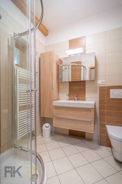Koupelna v Rekreačním apartmánu s dřevěným nábytkem a sprchovým koutem.